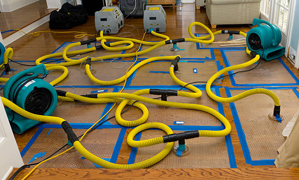 Professional Flood Damage Restoration technician working in Rockwood, TN
